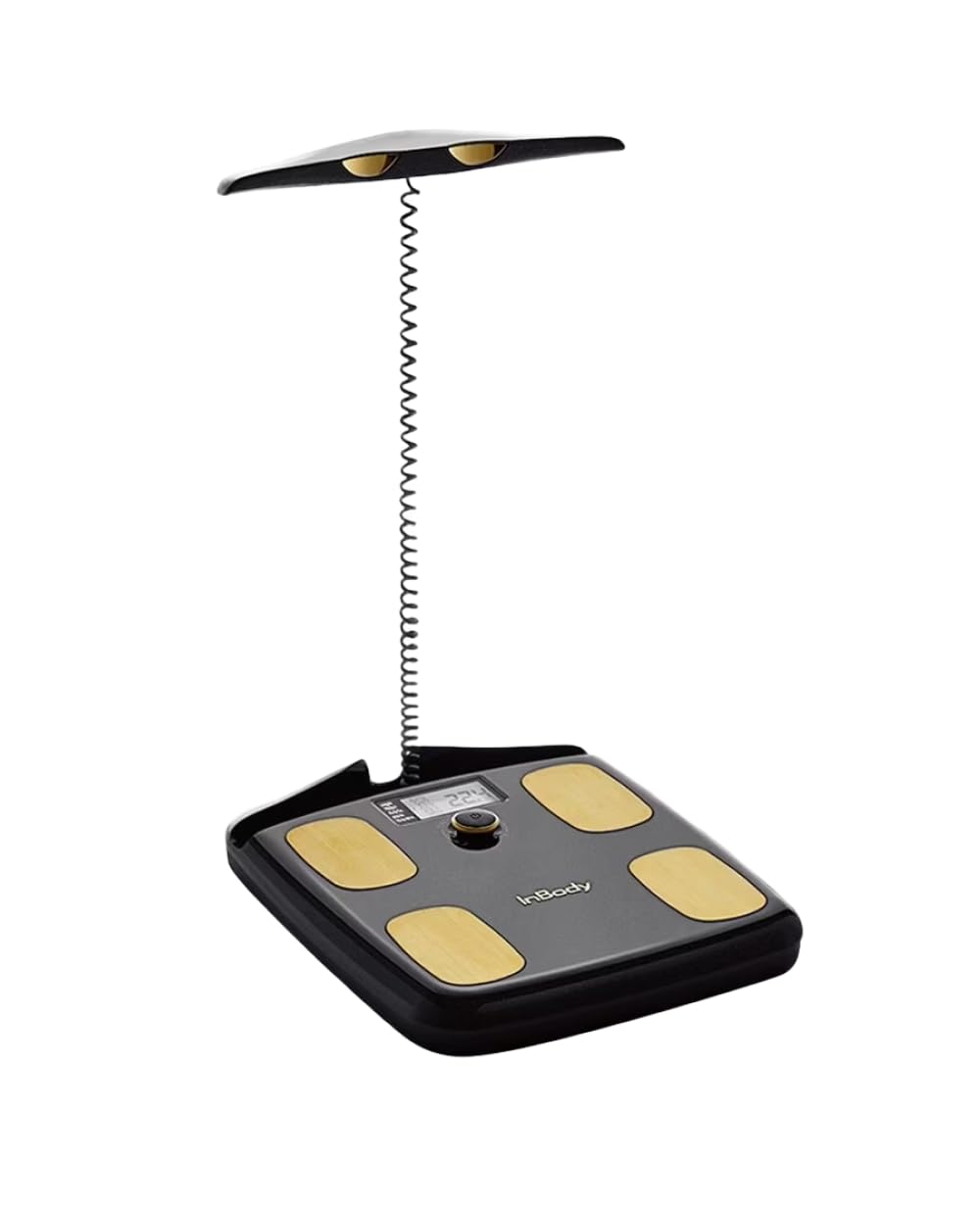 Smart Body Composition Scale with BMI, Body Fat & Muscle Tracking