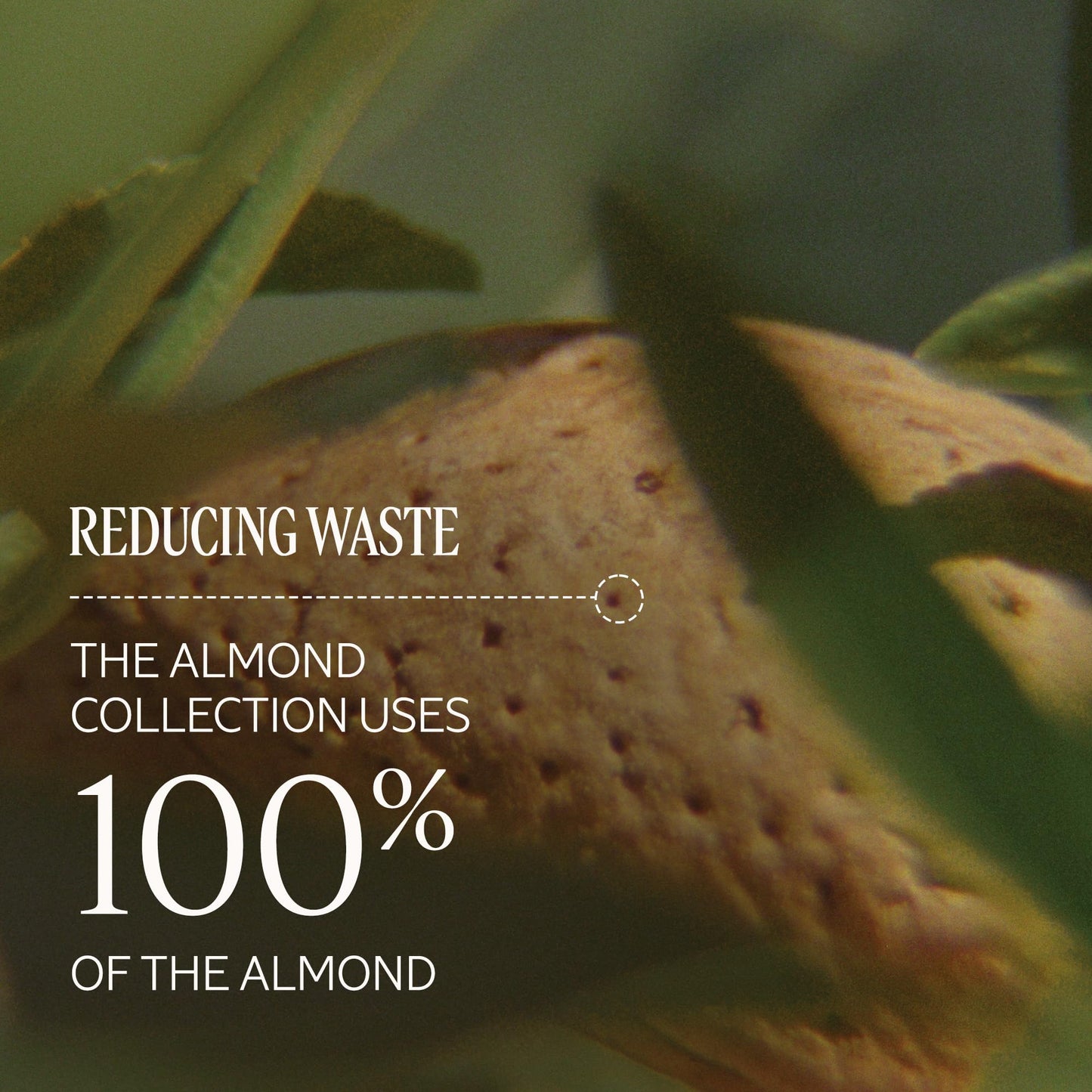 Lightweight Almond Body Oil for Soft, Hydrated Skin