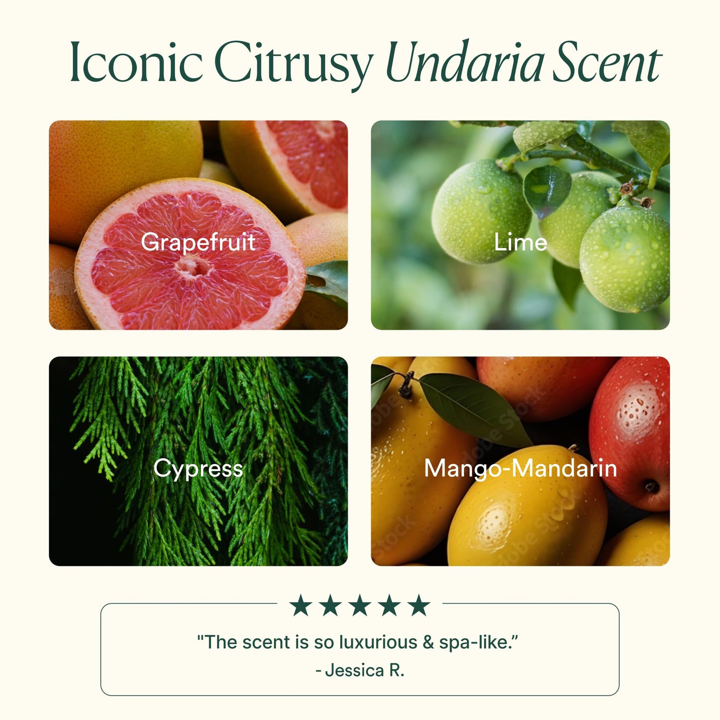 Osea Undaria Algae Body Butter