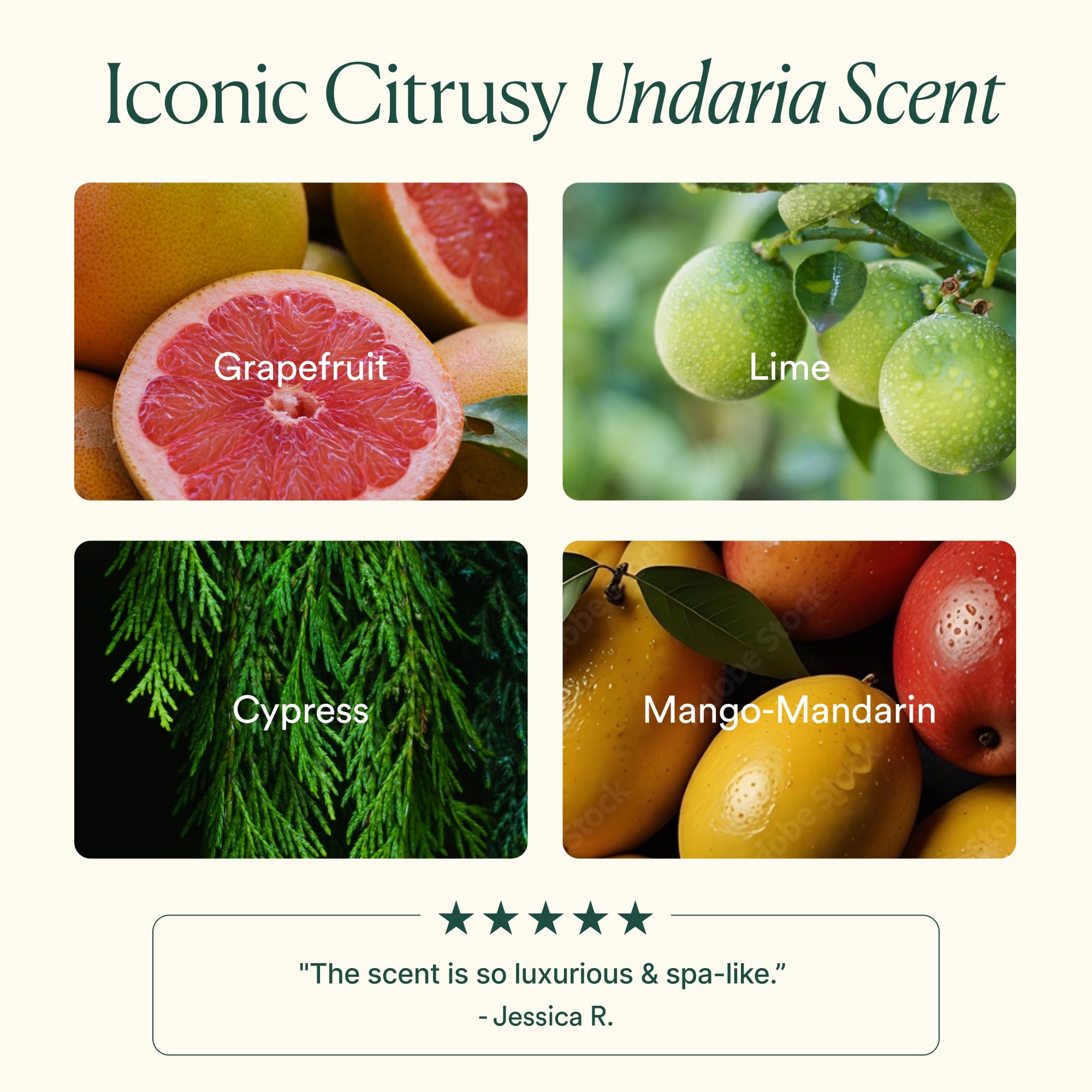 Osea Undaria Algae Body Butter