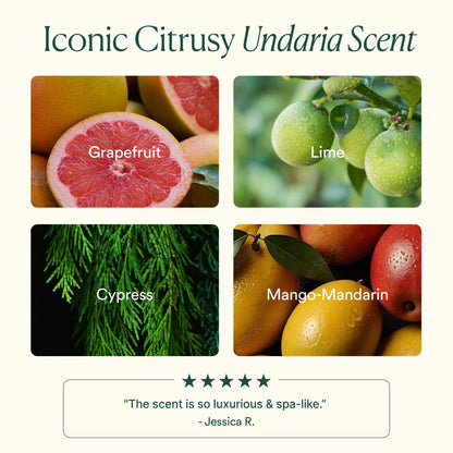 Osea Undaria Algae Body Butter